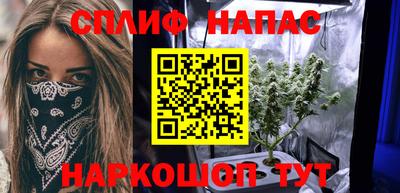 индика Пенза